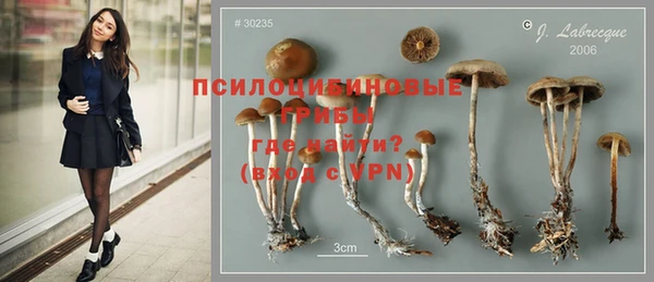 первитин Богданович