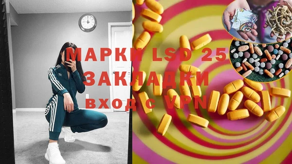 первитин Богданович