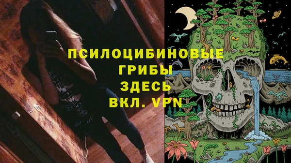 первитин Богданович