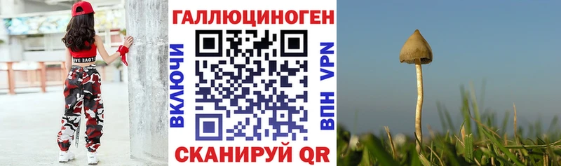 Псилоцибиновые грибы мицелий Гороховец